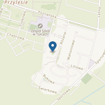 Bajkowa Kraina Niepubliczne Przedszkole w Tulcach na mapie
