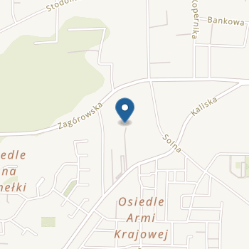 Niepubliczne Przedszkole "Mały Artysta" na mapie