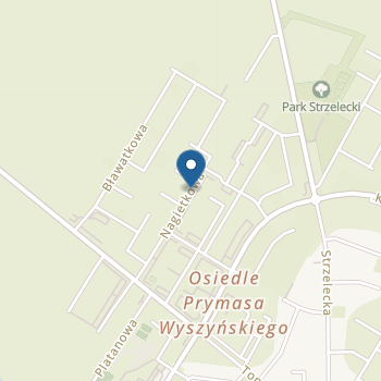 Niepubliczne Przedszkole Akademia Misia Wioletta Ślebioda na mapie