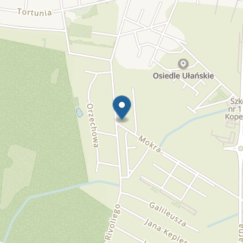 Niepubliczne Przedszkole Anglojęzyczne Us Academy For Kids na mapie