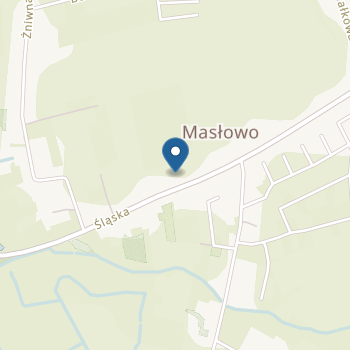 Przedszkole w Masłowie na mapie