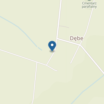 Publiczne Przedszkole Samorządowe w Dębem na mapie