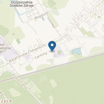 Integracyjny Punkt Przedszkolny "Dom Chichotka" na mapie