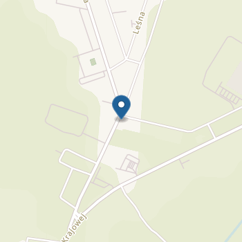 Niepubliczne Artystyczne Przedszkole "Kraina Fantazji" na mapie