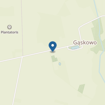 Ognisko Przedszkolne Towarzystwa Przyjaciół Dzieci Gąskowo 13, 78-113 Dygowo na mapie