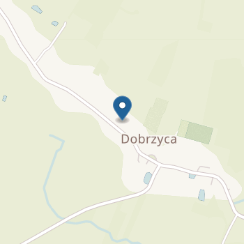 Punkt Przedszkolny przy Szkole Podstawowej im. Leśników Polskich w Dobrzycy na mapie