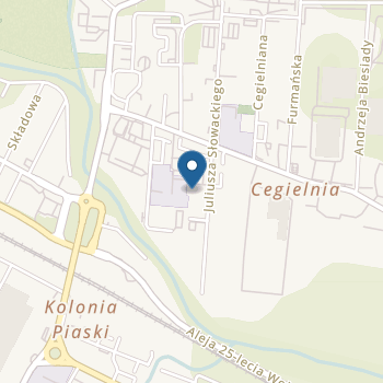 Niepubliczne Przedszkole Specjalne "Promyk" na mapie