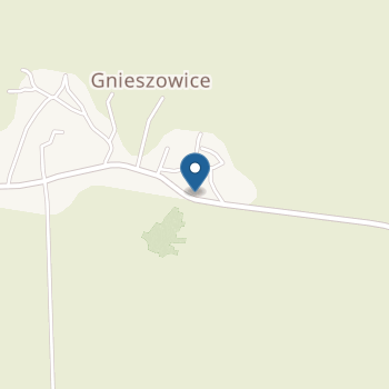 Punkt Przedszkolny "Smerfy" w Gnieszowicach na mapie