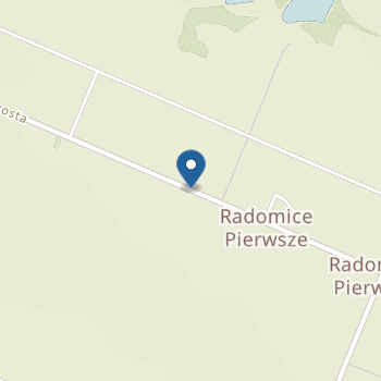 Punkt Przedszkolny w Radomicach na mapie