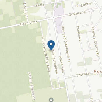 Niepubliczne Przedszkole Językowo-Artystyczne Mały Świat na mapie