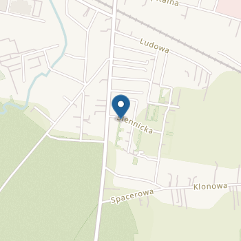 Punkt Przedszkolny "Sportowe Maluchy" na mapie