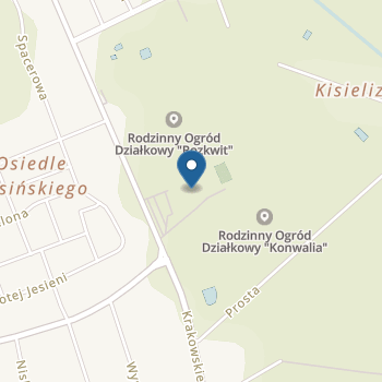 Niepubliczne Przedszkole "Radosne Maluchy" na mapie