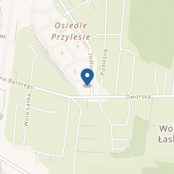 Niepubliczne Przedszkole "Dzieciak Plus" na mapie