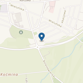 Niepubliczne Przedszkole Mali Odkrywcy na mapie