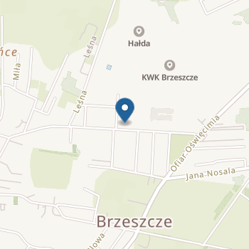 Niepubliczne Przedszkole "Iskierka" na mapie