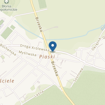 Niepubliczne Przedszkole Turkusowe Przedszkole na mapie