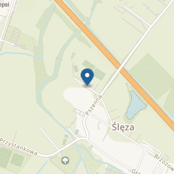 Przedszkole Niepubliczne Bright Beginners na mapie