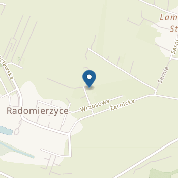 Punkt Przedszkolny "Wspólny Świat" na mapie