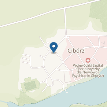 Niepubliczne Przedszkole pod Muchomorkiem w Ciborzu na mapie
