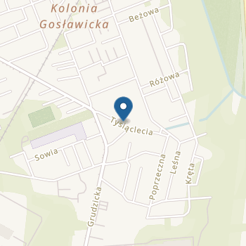 Niepubliczne Przedszkole "Magiczny Domek" na mapie