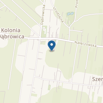 Przedszkole Dwujęzyczne Mały Europejczyk na mapie