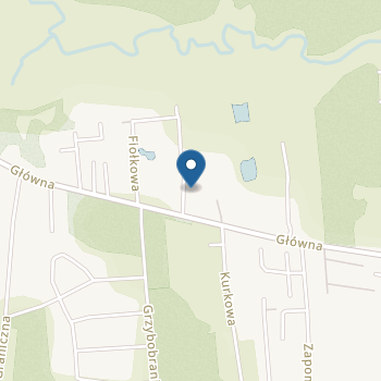 Niepubliczne Przedszkole "Skrzaty" na mapie