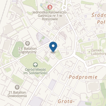 Niepubliczne Przedszkole "Gumisiowa Dolina" w Rzeszowie na mapie