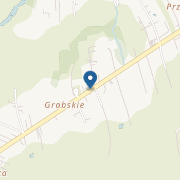 Niepubliczne Przedszkole Artystyczno-Językowe "Babyland" na mapie