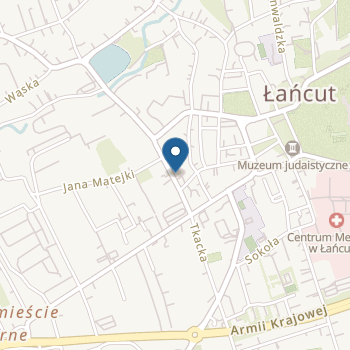 Niepubliczne Przedszkole Specjalne dla dzieci Niepełnosprawnych i Autystycznych "Niebieska Kraina" na mapie