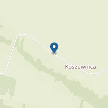 Przedszkole Niepubliczne " Leśne Skrzaty" na mapie