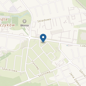 Niepubliczne Przedszkole Chatka Puchatka na mapie