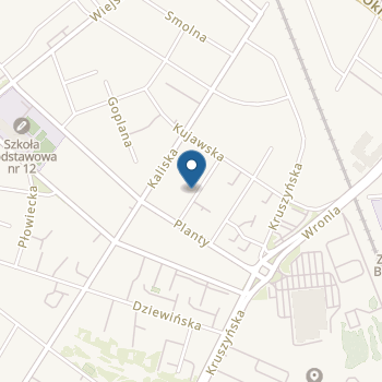 Przedszkole Niepubliczne Megamocni we Włocławku na mapie