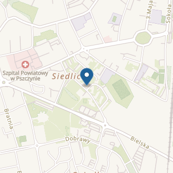 Niepubliczne Przedszkole Litlle Giants - Mali Giganci na mapie