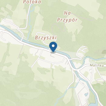 Niepubliczne Przedszkole Terapeutyczno-Integracyjne "Niebieski Motyl" na mapie