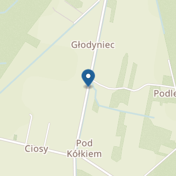 Niepubliczne Przedszkole "Akademia Marzeń" na mapie