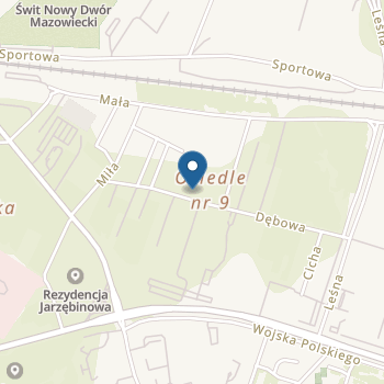 Przedszkole im. A. Einsteina na mapie