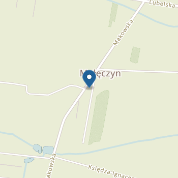 Niepubliczne Przedszkole "Bajlandia" w Małęczynie na mapie