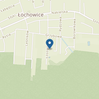 Przedszkole Publiczne "Iguś" w Łochowicach na mapie