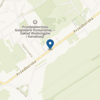 Przedszkole Niepubliczne Akademia Myszki Miki w Radomsku nr 1 na mapie