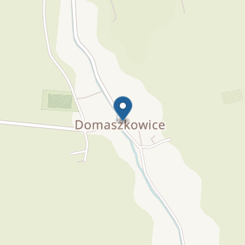 Publiczne Przedszkole Stowarzyszenia Przyjaciół Szkół Katolickich im. Bł. Edmunda Bojanowskiego w Domaszkowicach na mapie