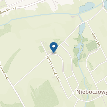 Przedszkole w Nieboczowach na mapie