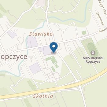 Niepubliczne Przedszkole "Wesołek" na mapie