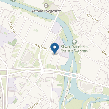 Niepubliczne Przedszkole "Czar Dzieci" na mapie