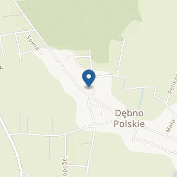 Przedszkole w Dębnie Polskim na mapie