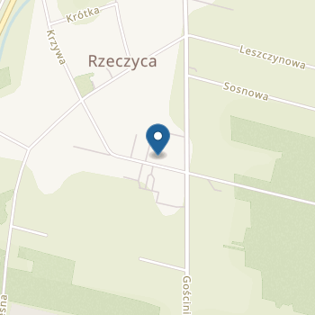 Przedszkole im. Doroty Gellner w Rzeczycy na mapie