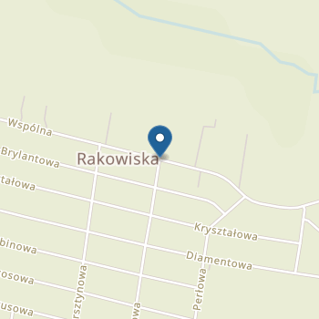 Przedszkole im. Zaczarowana Kraina w Rakowiskach na mapie
