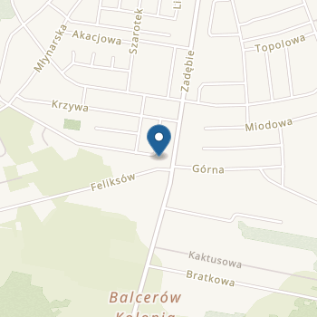 Przedszkole Niepubliczne "Abrakadabra" Magia Zabawy na mapie