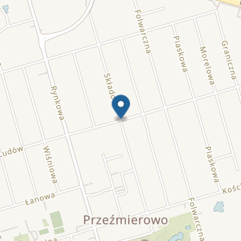 Przedszkole Publiczne "Chatka Kubusia Puchatka" w Przeźmierowie na mapie