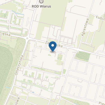 Young Leaders Early Education Academy na mapie