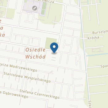 Integracyjny Punkt Przedszkolny "Akademia Rozwoju" w Pruszczu Gdańskim na mapie